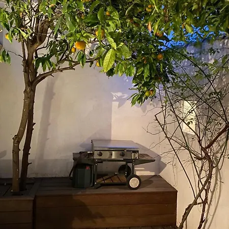 Le Jardin Cache 滨海萨纳里