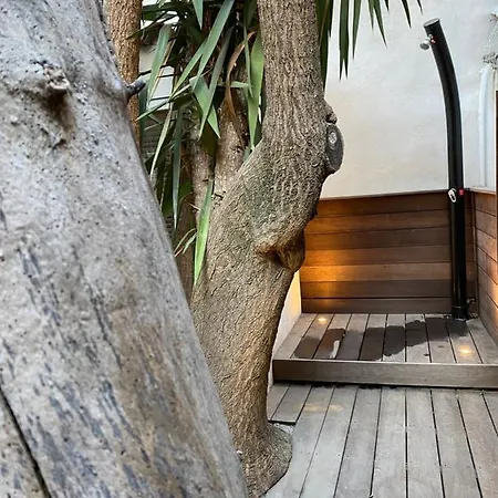 Le Jardin Cache 公寓 滨海萨纳里