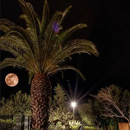 Le Jardin Caché Sanary-sur-Mer